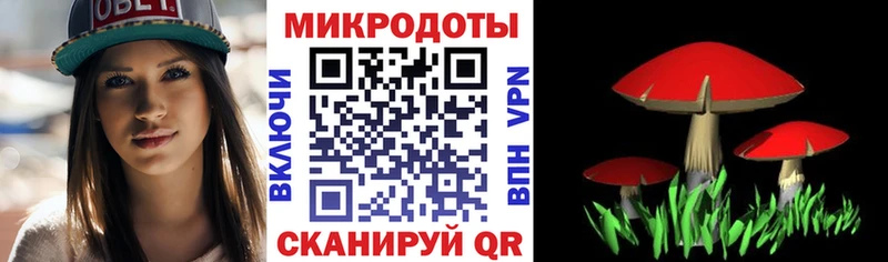Галлюциногенные грибы Psilocybine cubensis  Купить  Михайловка 